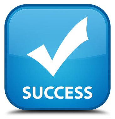 Başarı (simge doğrulama) camgöbeği mavi kare düğme