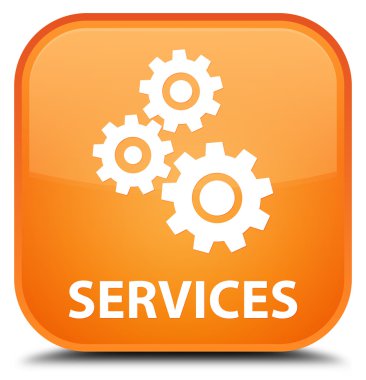 Hizmetleri (vites simgesi) turuncu kare düğme