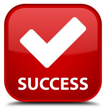 Başarı (simge doğrulama) kırmızı kare düğme