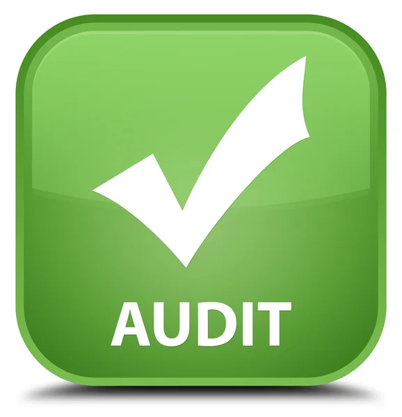 Audit (validate icon) soft green square button — Stock Photo, Image