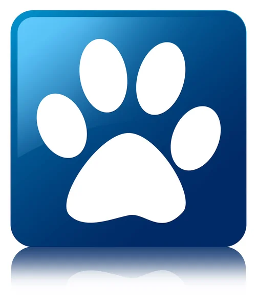 Animal footprint icon glossy blue reflected square button — Stock Photo, Image