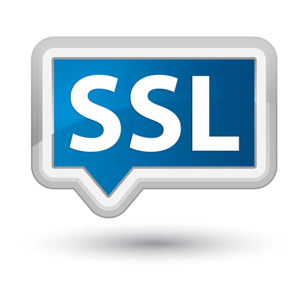SSL blue banner button — Stock Photo, Image