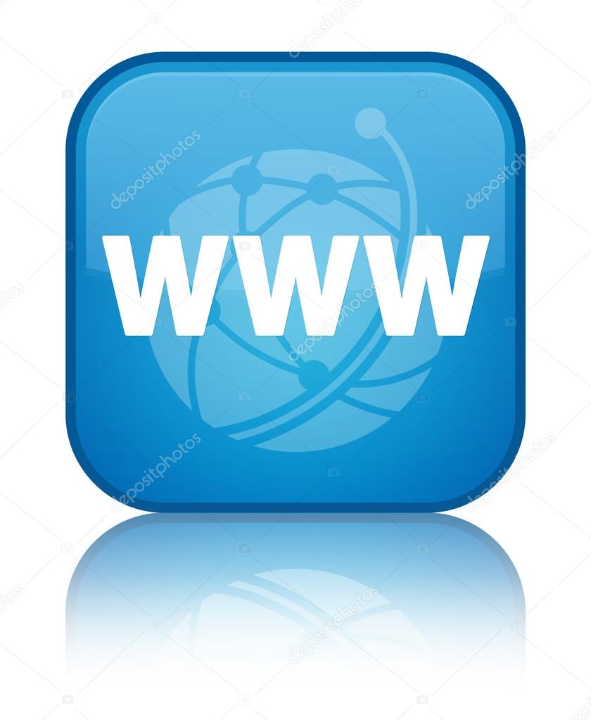 www (global network icon) glossy blue reflected square button
