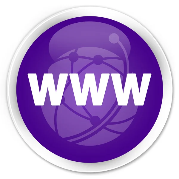 Www (wereldwijde netwerkpictogram) paarse knop — Stockfoto