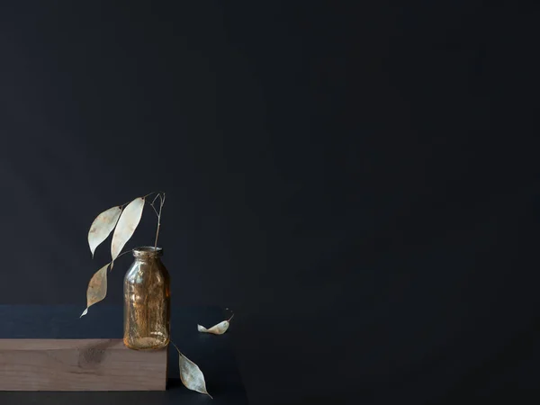 Μοντέρνο Μονόχρωμο Ακίνητο Ζωή Αποξηραμένο Ασημένιο Κλαδί Της Lunaria Διαφανές — Φωτογραφία Αρχείου