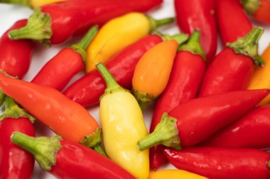 En taze ve en sıcak biberlerin renkli bir karışımı..