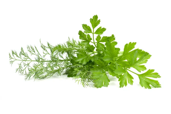 Dill Parsley Spices Bunch Isolated White Background — Stock Photo, Image