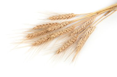 Beyaz arka planda buğday başakları.