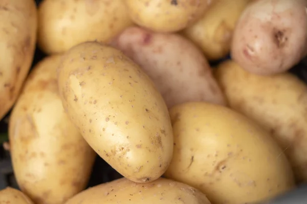 Fresh Organic Young Potatoes Sold Market — Stock Photo, Image