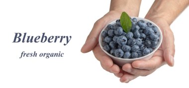 Kasede böğürtlen ve ellerinde su damlaları var. Kavram.