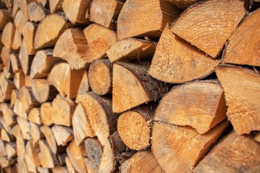 Duvar odunları, kesilen odun yığınlarının arka planı..