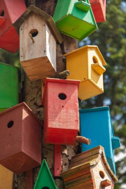 Renkli ahşap kuş evleri koleksiyonu