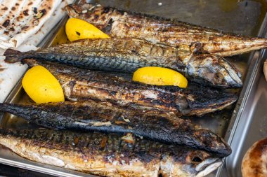 Tavada sebzeli ızgara uskumru balığı..