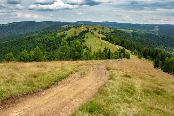 Sentiero Montagna Collina Paesaggio Estivo — Foto Stock