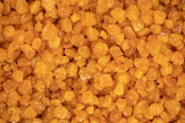 Kuru üzümler yakında. Makro. Tüm arkaplan