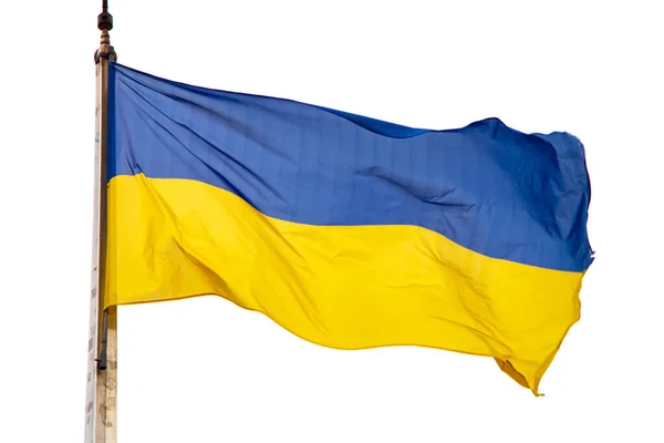 ウクライナの国旗白 — ストック写真