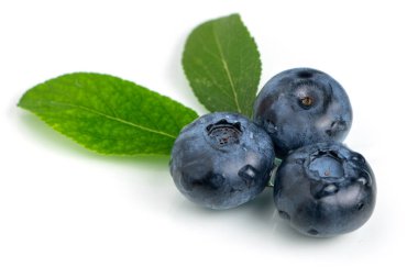 Yapraklı taze yaban mersini. Böğürtlen beyaz arka planda izole edilmiş Makro.