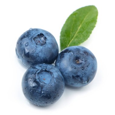 Yapraklı taze yaban mersini. Böğürtlen beyaz arka planda izole edilmiş Makro.