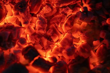 Barbekü piknik için kömür ayrıntılarını,