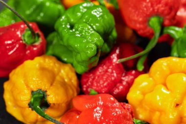 Renkli yeşil, kırmızı ve sarı biber arka plan kırmızı biber.