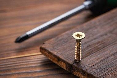 Vidalarda tornavida, tahtada vida, tahtada vida. Yakın çekim, seçici odaklanma.