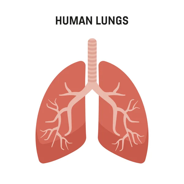 Poumons humains. Symboles médicaux, poumons humains à structure abstraite — Image vectorielle