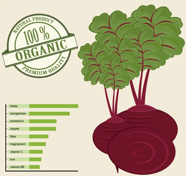 Vegetable-beet Stock Illustration