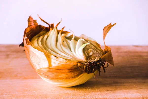 Bawang Setengah Pada Sepotong Kayu Onion Membusuk Onion Tumbuh Stok Gambar