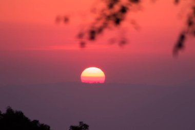 Yapraklı manzara, gün doğumunun silueti, gökyüzünde turuncu parıltı, Wicks 'i büyüttü..