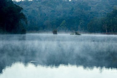 Suyun yüzeyinden yüzen sisli bir manzara.