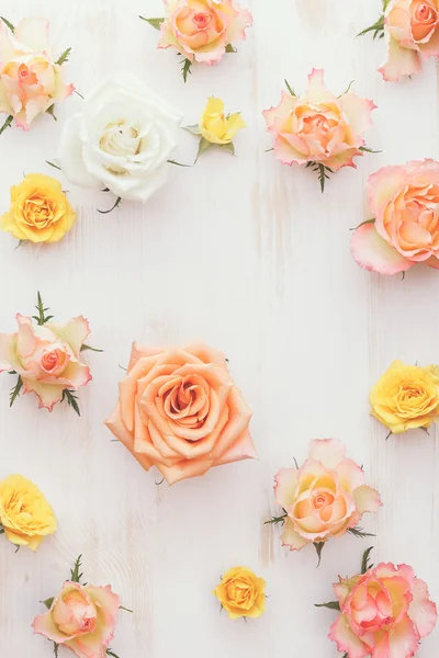 Assorted fresh roses heads — Stock Photo, Image