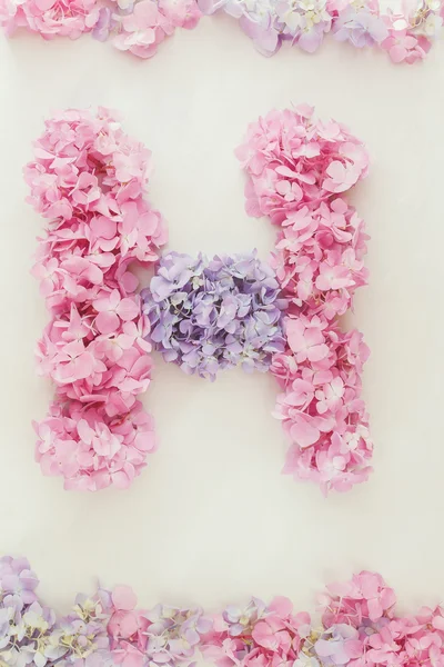 Tle kwiatów hortensji — Zdjęcie stockowe