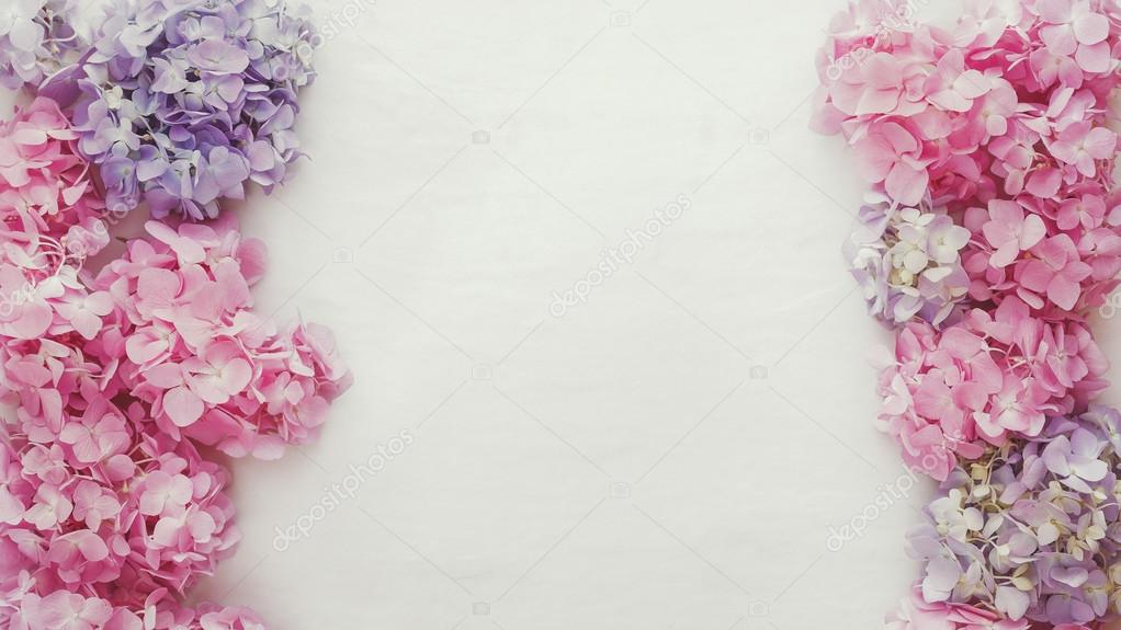 Hình nền hoa cẩm chướng: Hình nền hoa cẩm chướng là một chủ đề không thể thiếu trong thế giới đồ hoạ. Với những đường nét tinh tế và sắc màu tươi sáng, hình nền sẽ mang lại cho bạn một cảm giác tươi mới và rực rỡ. Hãy cùng nhìn ngắm vẻ đẹp mộc mạc nhưng cũng không kém phần quyến rũ của loài hoa này.