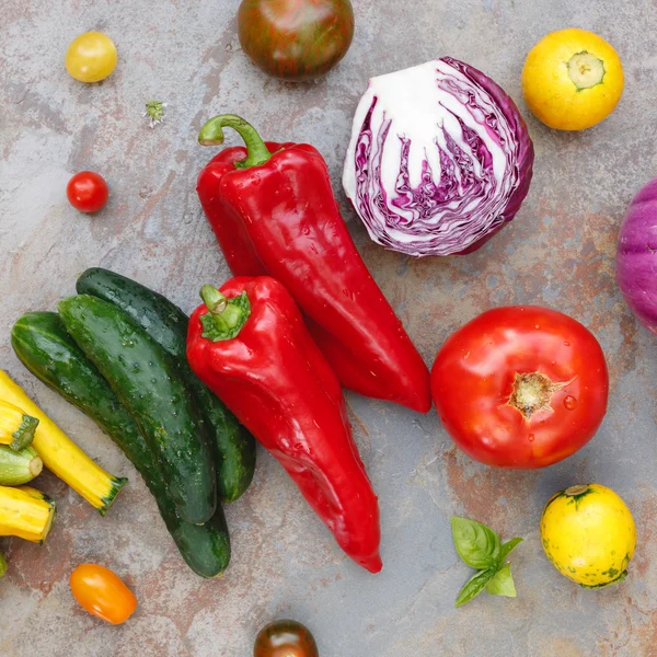 Rauwkost op tafel met kruid — Stockfoto