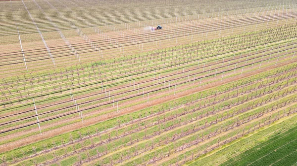 Aerial view of agricultural field in spring. Sprayer sprays orchard insecticide in orchard , spring season.
