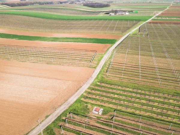 Aerial View Farmlands Road Green Fields Meadows Soil Cultivation Spring — Stock fotografie