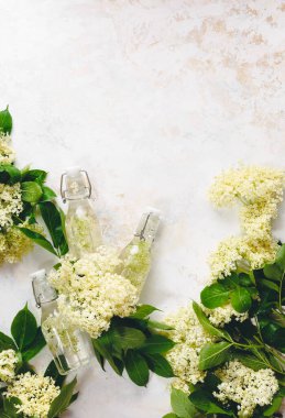 Mürver Çiçeği Likörü Yapılacak İçindekiler