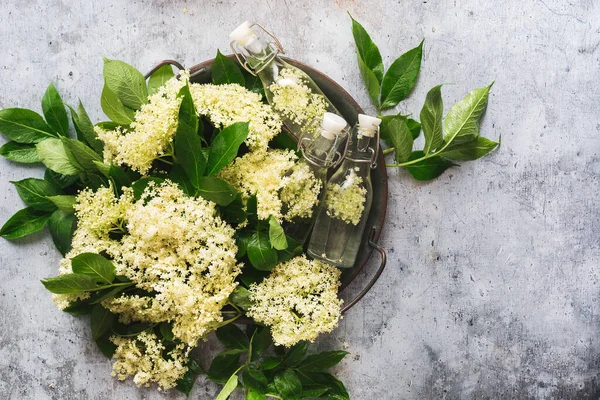 Fresh Elder Flowers Metal Tray Cordial Vintage Bottle Gray Background — Stock Photo, Image