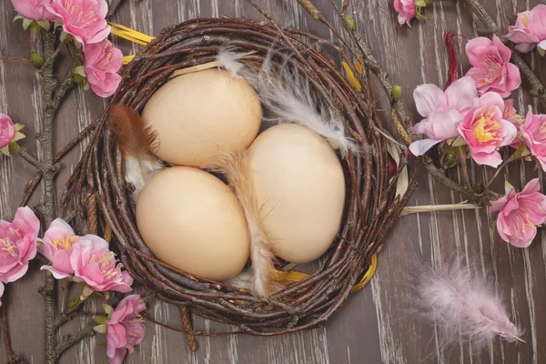 Eieren in een nest voorjaar bloeien. — Stockfoto