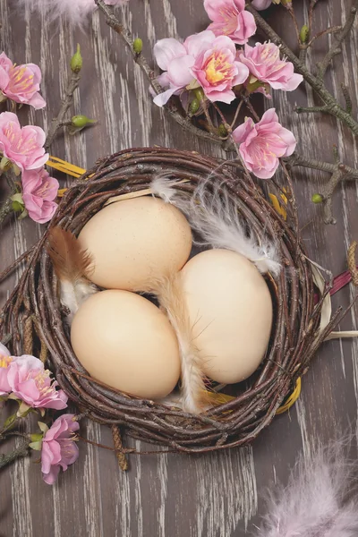 Яйця в весняному цвітучому гнізді — стокове фото