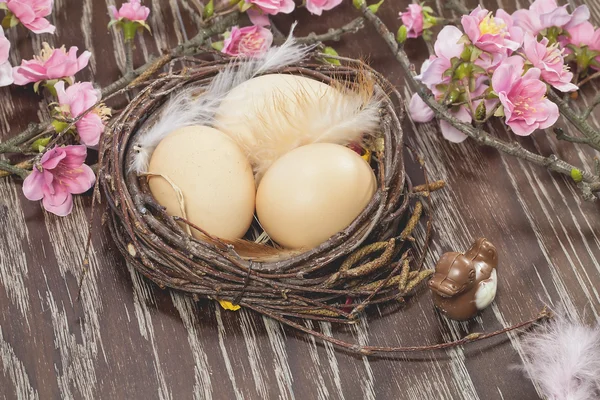 Eieren in een nest voorjaar bloeien — Stockfoto