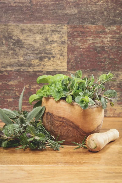 Différentes herbes culinaires dans un mortier — Photo