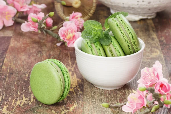 Green tea macarons — Stock Photo, Image