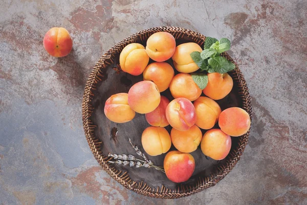 Bowl of fresh harvested apricots — Stock Photo, Image