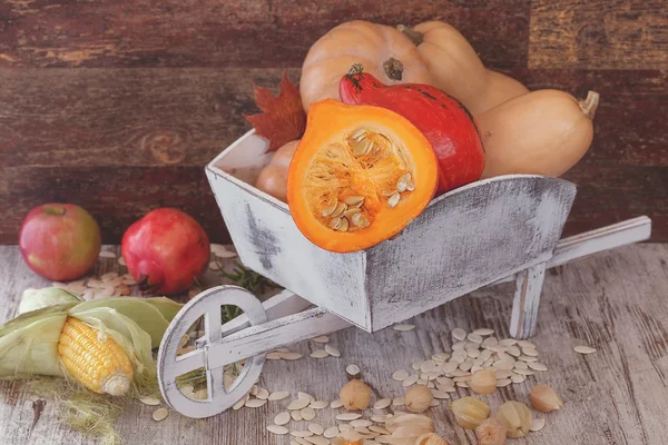 秋天的水果和蔬菜与南瓜 — 图库照片