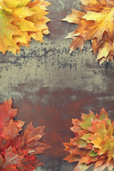 Autunno sfondo con foglie — Foto Stock