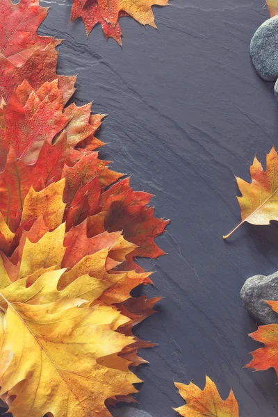 Őszi levelek és kövek háttér — Stock Fotó