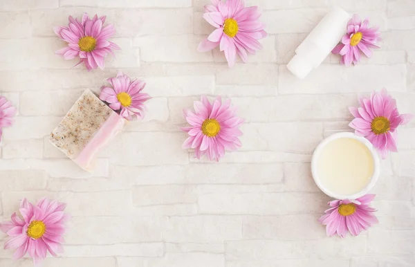 Natuurlijke huidverzorgingsproducten en ingrediënten — Stockfoto