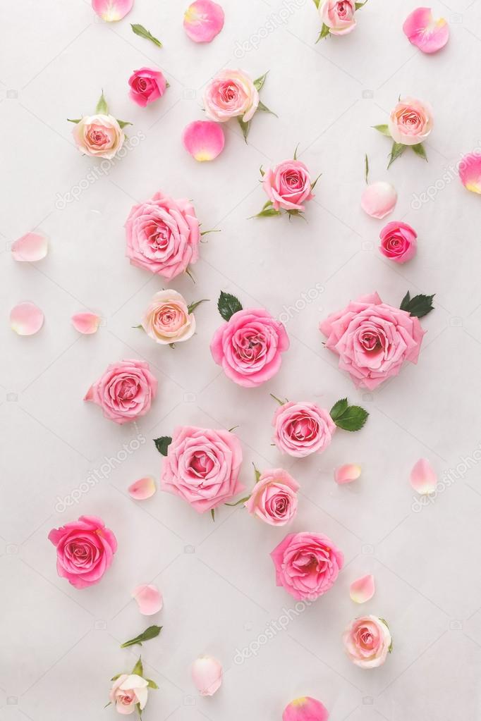 Roses and petals background