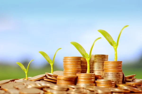 Trees growing on pile of coins money — Stock Photo, Image